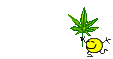 default_gallery_103797_270_9686.gif