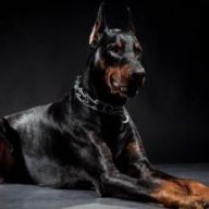 DobeRmaNNX
