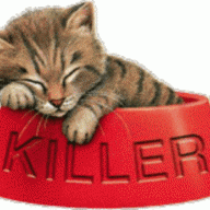 Kitten-Killer