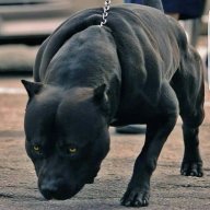 kasiy